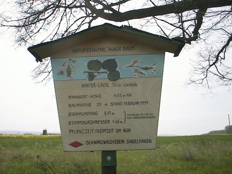 Hoher Baum Alte Tafel Web