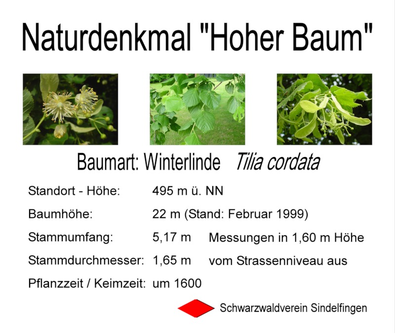 Hoher Baum Neue Tafel Web